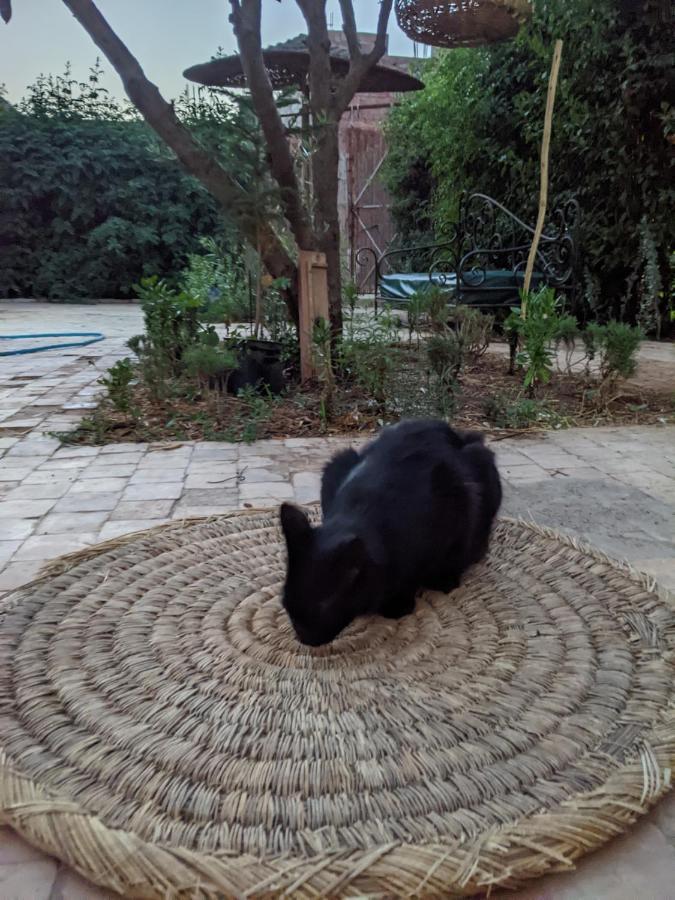 Dar Saafia Marraquexe Exterior foto